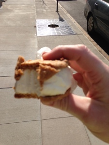 A Ted Drewes Ice Cream Sandwich.  Amazeballs.